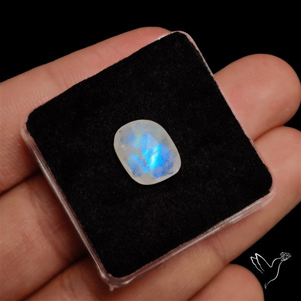 Rose Cut Faceted Rainbow Moonstone