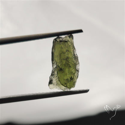 Rare Natural Raw Moldavite