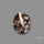 Raw Face Astrophyllite Druzy