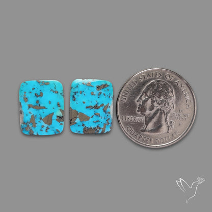 Rare Campitos Turquoise With Pyrite Inclusion Pair