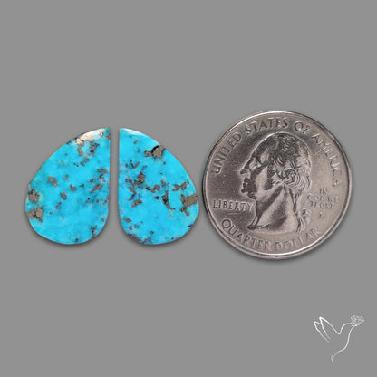 Rare Campitos Turquoise With Pyrite Inclusion Pair