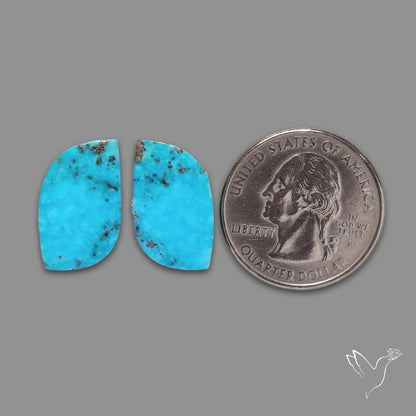 Rare Campitos Turquoise With Pyrite Inclusion Pair