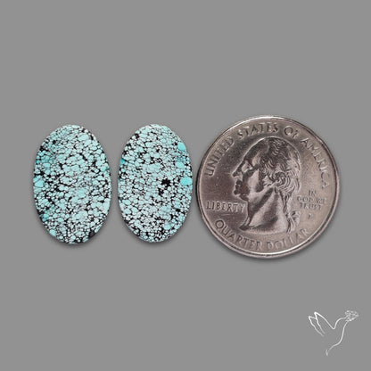 Hubei Turquoise Pair