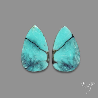 Hubei Turquoise Pair