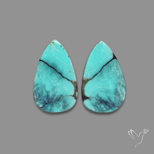 Hubei Turquoise Pair