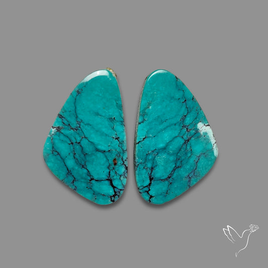 Hubei Turquoise Pair