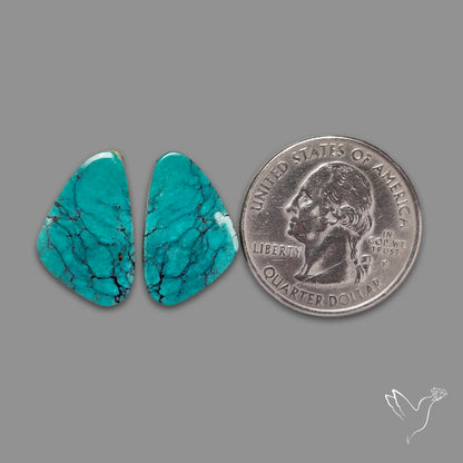 Hubei Turquoise Pair
