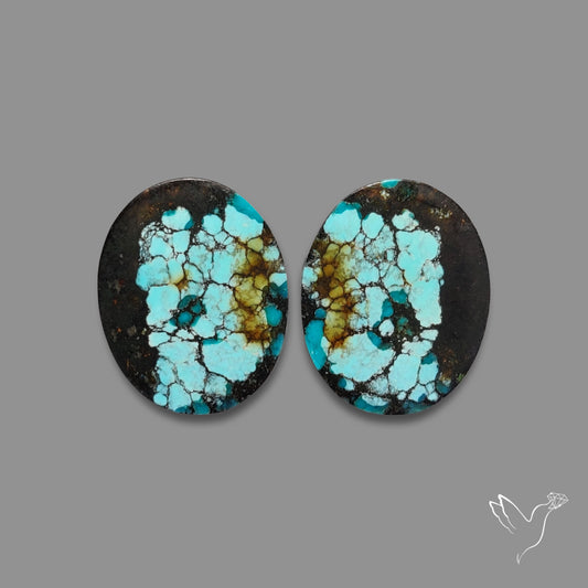 Hubei Turquoise Pair