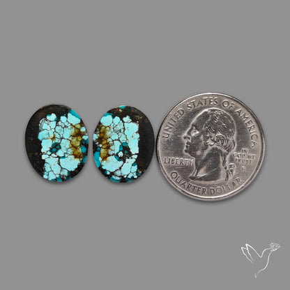 Hubei Turquoise Pair