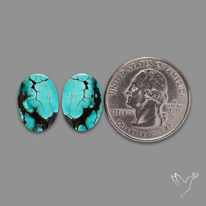 Hubei Turquoise Pair