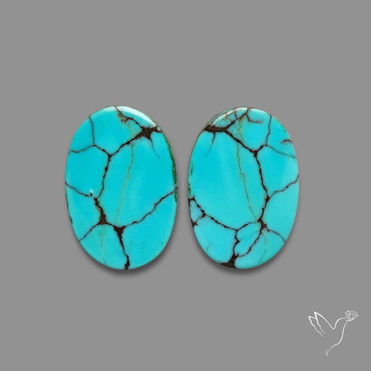 Hubei Turquoise Pair