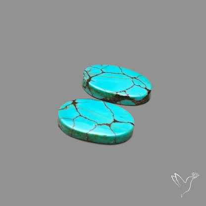 Hubei Turquoise Pair