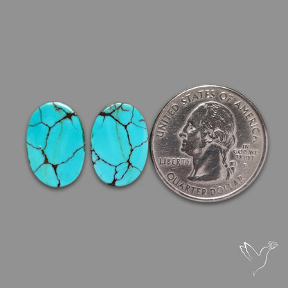 Hubei Turquoise Pair