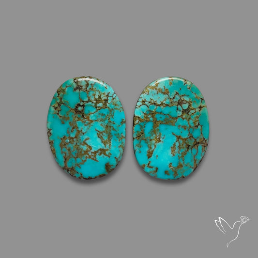 Hubei Turquoise Pair