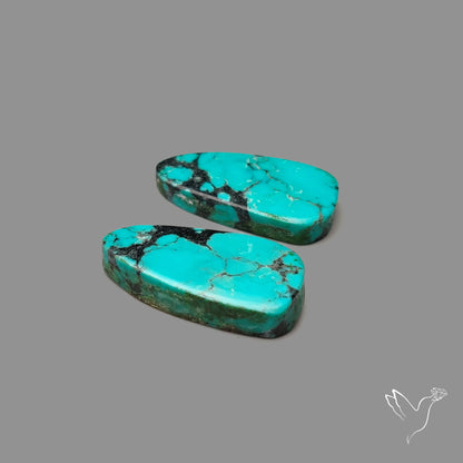 Hubei Turquoise Pair