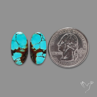 Hubei Turquoise Pair