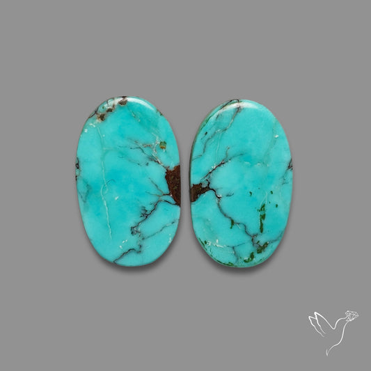 Hubei Turquoise Pair
