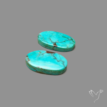 Hubei Turquoise Pair