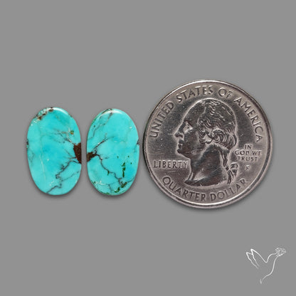 Hubei Turquoise Pair