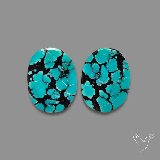 Hubei Turquoise Pair