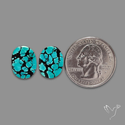 Hubei Turquoise Pair