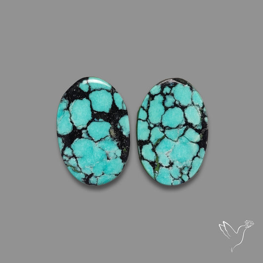 Hubei Turquoise Pair