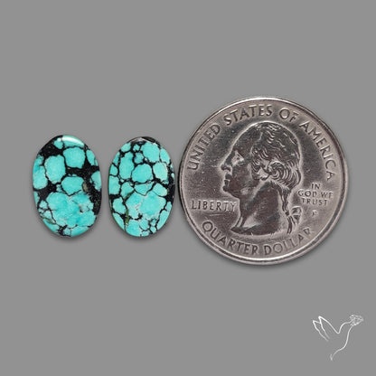 Hubei Turquoise Pair