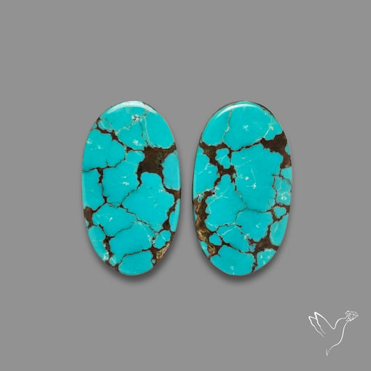 Hubei Turquoise Pair