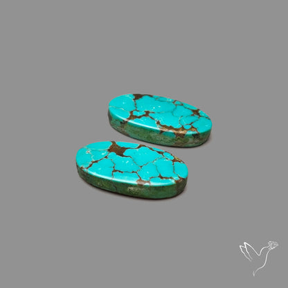 Hubei Turquoise Pair