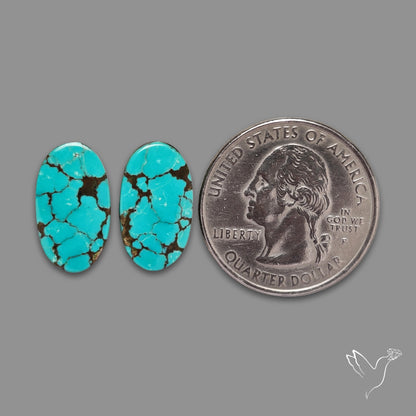 Hubei Turquoise Pair
