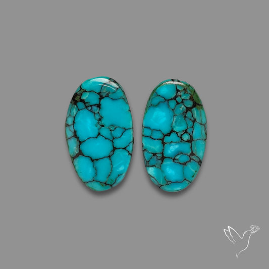 Hubei Turquoise Pair