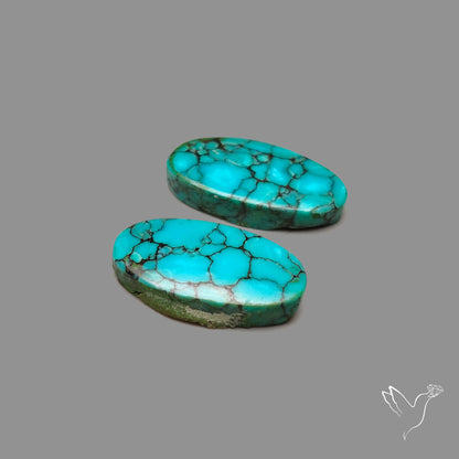 Hubei Turquoise Pair