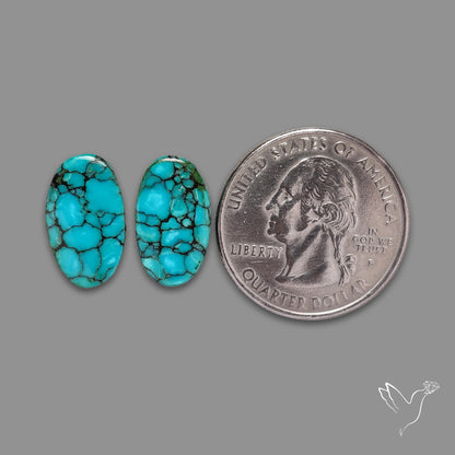 Hubei Turquoise Pair