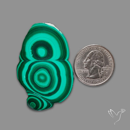 Malachite Stalactite Slice