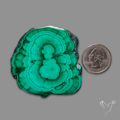 Malachite Stalactite Slice