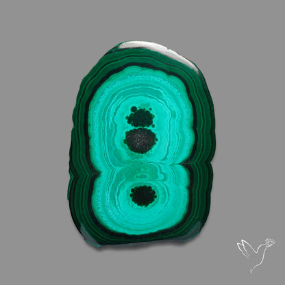 Malachite Stalactite Slice