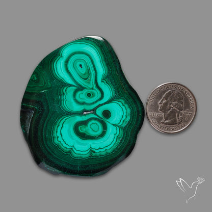 Malachite Stalactite Slice