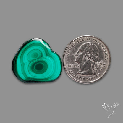 Malachite Stalactite Slice