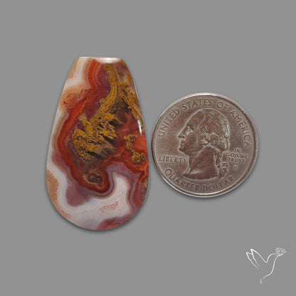 Moroccan Seam Agate Cabochon