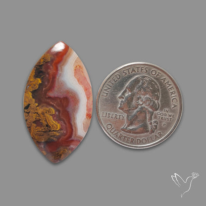 Moroccan Seam Agate Cabochon