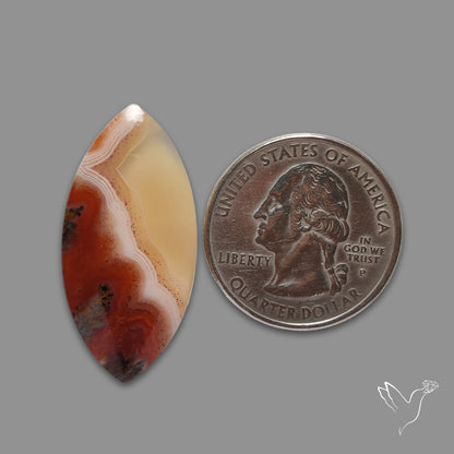 Moroccan Seam Agate Cabochon
