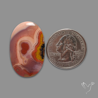Moroccan Seam Agate Cabochon
