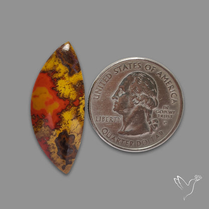 Moroccan Seam Agate Cabochon