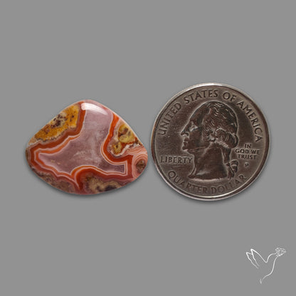 Moroccan Seam Agate Cabochon