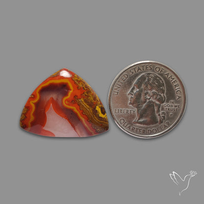 Moroccan Seam Agate Cabochon