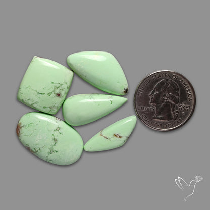 Citron Chrysoprase Cabochons Lot