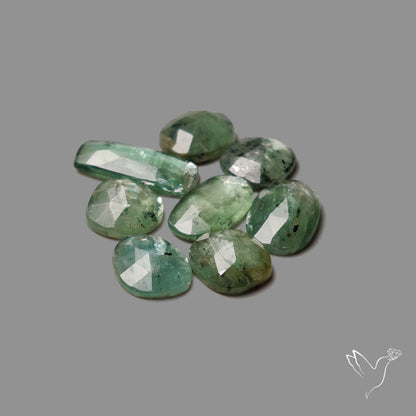 Rose Cut Green Moss Kyanite Lot
