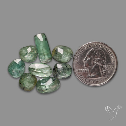 Rose Cut Green Moss Kyanite Lot