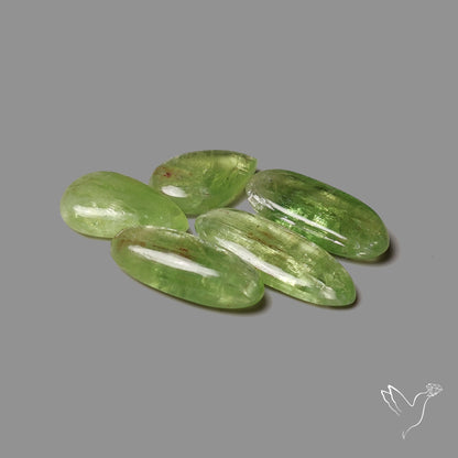 Mint Green Kyanite Cabochons Lot