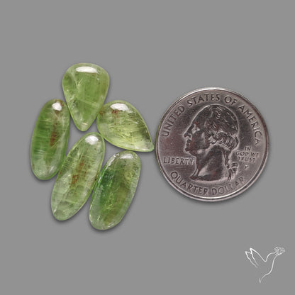 Mint Green Kyanite Cabochons Lot
